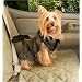 Solvit Pet Vehicle Safety Harness, Extra-Large