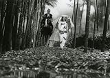 Kuroneko (Criterion Collection)