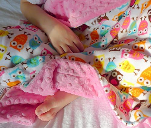 Baby Blanket - Owl Baby Blanket - Minky Baby Blanket - Baby Girl Blanket - Girl Baby Blanket - Baby Shower Gift
