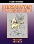 Neuroanatomy to Color and Study