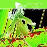 Pop Ambient 2006
