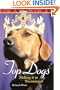 Top Dogs : Making it to Westminster