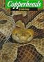 Copperheads (Snakes Discovery Library)