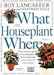 What Houseplant Where