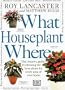 What Houseplant Where
