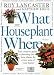 What Houseplant Where