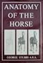 Anatomy of the Horse
