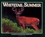 Whitetail Summer (Seasons of the Whitetail/John J. Ozoga, Bk 4)