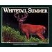 Whitetail Summer (Seasons of the Whitetail/John J. Ozoga, Bk 4)