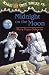  : Midnight On The Moon (Magic Tree House 8, paper)