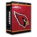 Arizona Cardinals Team Logo Gift Bag (Medium)