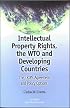 Intellectual Property Rights, the WTO and Developing Countries: The TRIPS Agreement and Policy Options