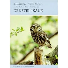 Der Steinkauz: Athene noctua