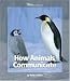 How Animals Communicate (Watts Library)