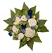 The Baby Bunch Organic Bunch Cornflower 0 to 6 Months