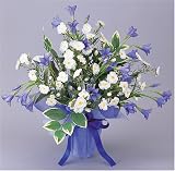 ���γڱ� �����޾ý����꡼�� <�ե����꡼��>�磻��ɥࡼ��
