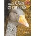L'�levage des oies et des canards