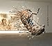 Cai Guo-qiang: Long Scroll