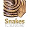 Snakes, turtles, alligator, salamanders, frogs reptiles and amphibians