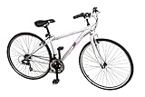 K2 Bikes Echo Comfort Bike (Silver, Medium )