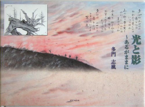 光と影―あるがままに (アルカディアシリーズ―アルカディアブックス)