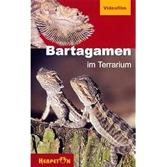 Bartagamen im Terrarium [VHS]