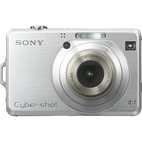 Cybershot DSC-W100