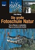 cover of Die große Fotoschule Natur