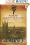 Where Serpents Sleep (Historical Fiction)