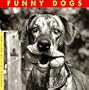 Funny Dogs