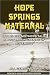 Book Hope Springs Maternal, Revised and Updated Edition: Homeless Mothers Talk About Making Sense of Adversity