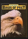 Birds of prey