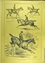 1882 Horse Rider Good-Investment Jump Gallop Trot