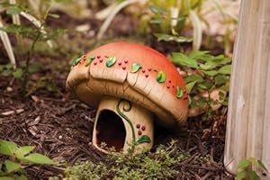 Mushroom Toad House