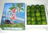 ���绺��������2L��������1����39�������