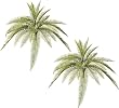 TWO 30" Artificial Phoenix Fern Bushes