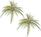 TWO 30" Artificial Phoenix Fern Bushes