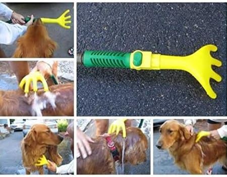 Dog Excitement Pretty Grooming Bathing