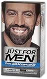 Just For Men Brush In Colour Gel Real Black (M55) Facial Hair Colour