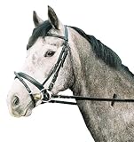 jw reitsport Trense schwedisches Reithalfter schwarz