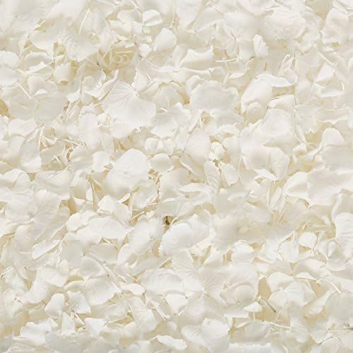Biodegradable Hydrangea Petal Wedding Confetti (2 Litres, White) by Petals and Roses