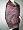 Antique Jamavar India Shawl-royal Heath,gray And Brown With Multicolor Reversible Wrap Free Shipp Image #2