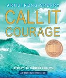 Call It Courage