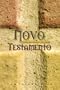 Portuguese New Testament-FL-Easy to Read (Portuguese Edition)