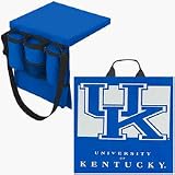 Kentucky Wildcats Versatile 14 x 14 x 1.5 Seat Cushion / Tote (Set of 2)