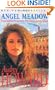 Angel Meadow (Coronet Books)