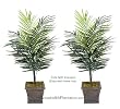 TWO 4' Artificial Dwarf Areca Palm Trees, with No Pot,
