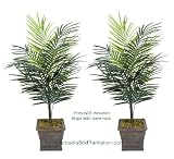 TWO 4' Artificial Dwarf Areca Palm Trees, with No Pot,