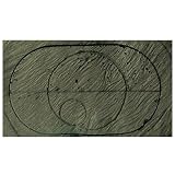 Delta Trophy/Backyard Buck Replacement Vital Section