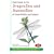 Field Guide to the Dragonflies and Damselflies of Great Britain and Ireland